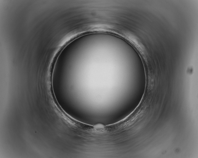 X0000101161384200806270959