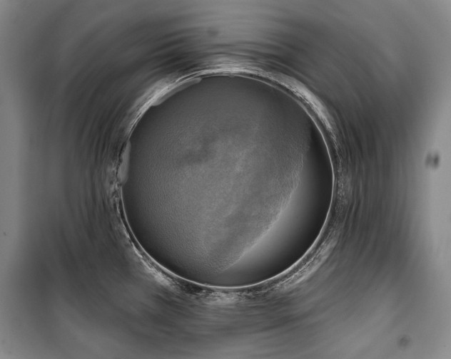 X0000101161385200806270959
