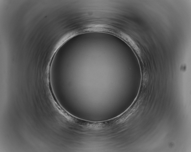X0000101161386200806270959