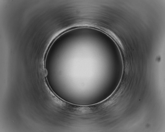X0000101161388200806270959
