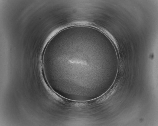 X0000101161389200806270959