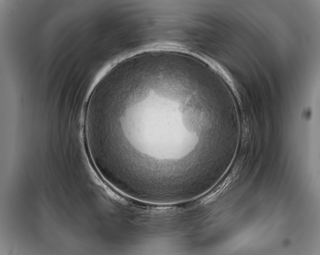 X0000101161390200806270959