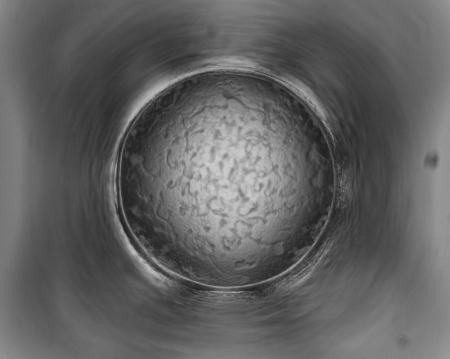 X0000101161391200806270959