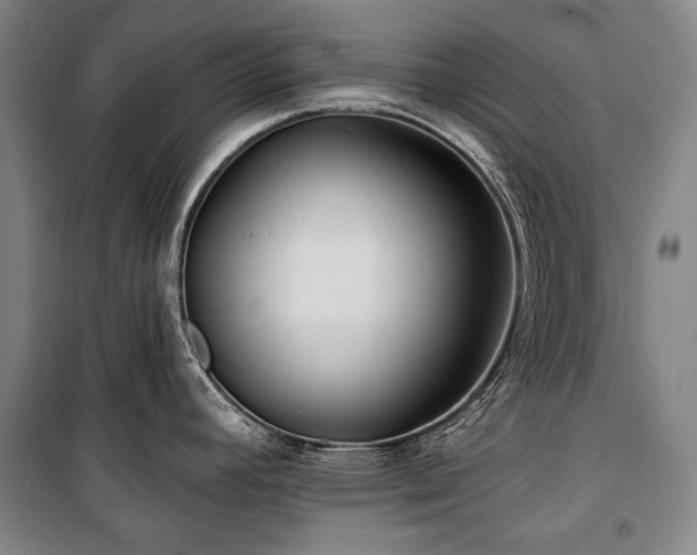 X0000101161392200806270959