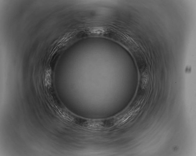 X0000101161394200806270958