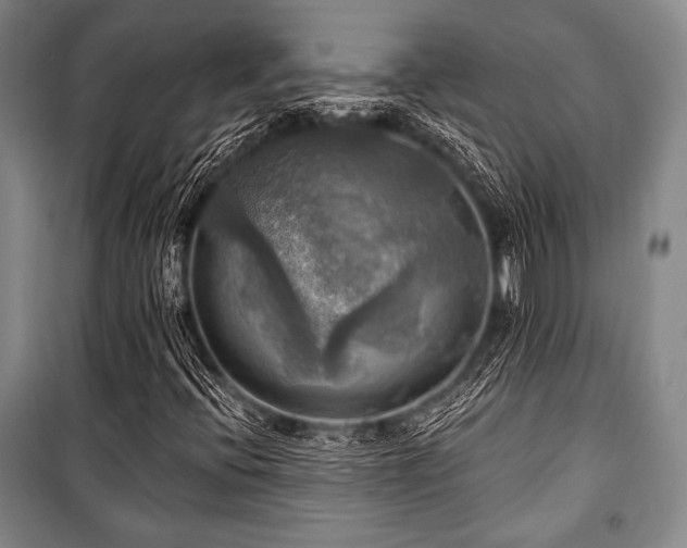 X0000101161396200806270958