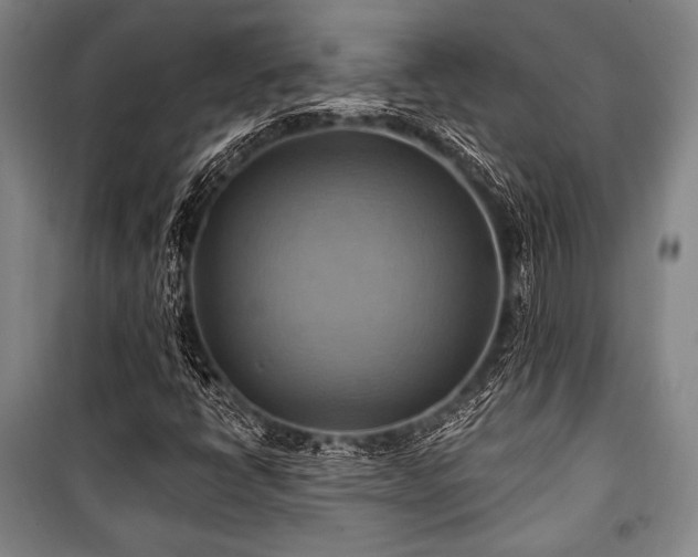X0000101161398200806270958