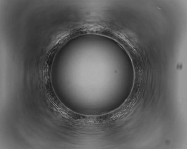 X0000101161399200806270958