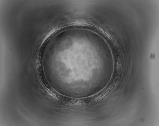 X0000101161400200806270958