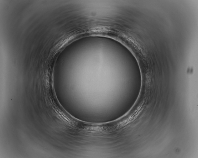 X0000101161401200806270958