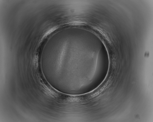 X0000101161402200806270958