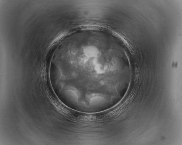 X0000101161403200806270958