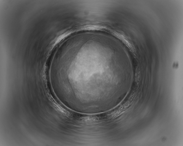 X0000101161404200806270958