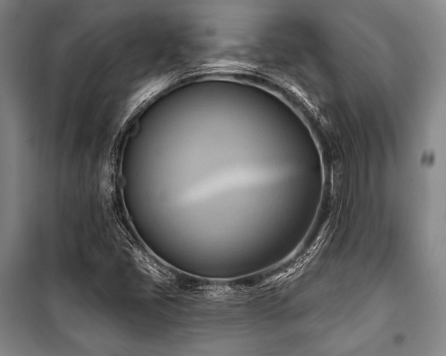 X0000101161405200806270958