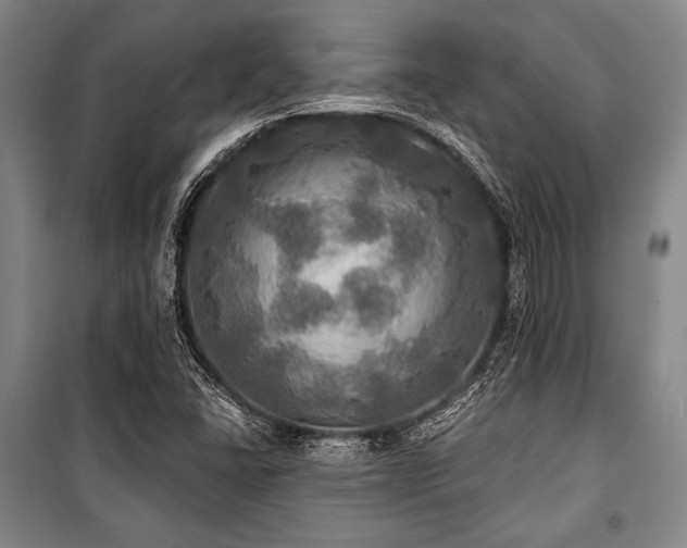 X0000101161406200806270958