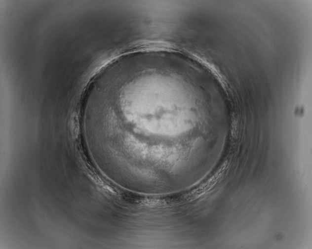 X0000101161407200806270958