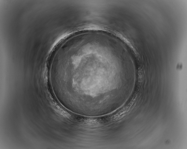 X0000101161408200806270958