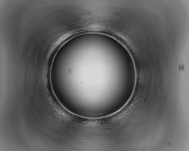 X0000101161410200806270958