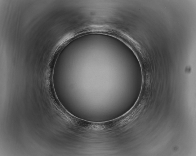 X0000101161411200806270958