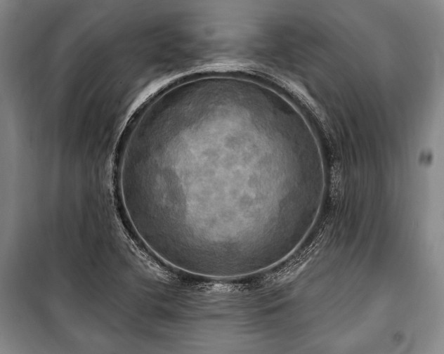 X0000101161412200806270958