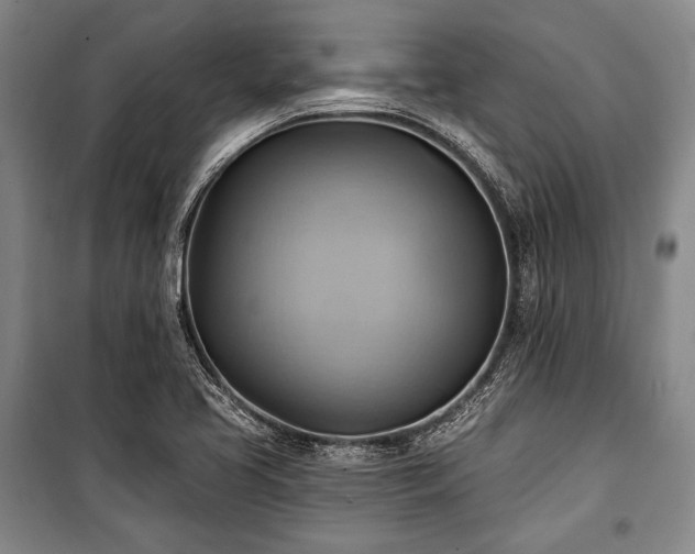 X0000101161413200806270958