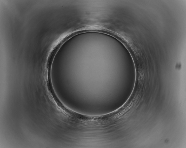 X0000101161414200806270958