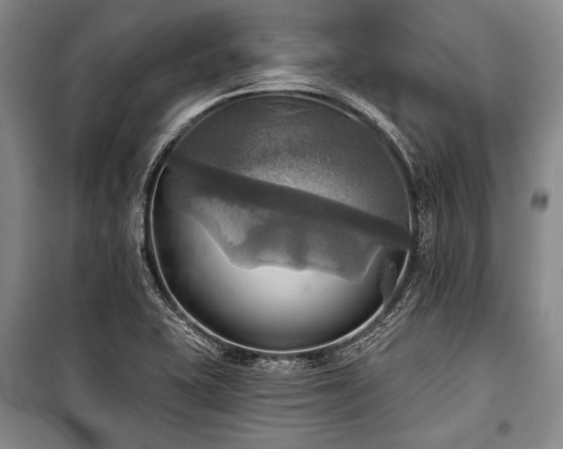 X0000101161415200806270958