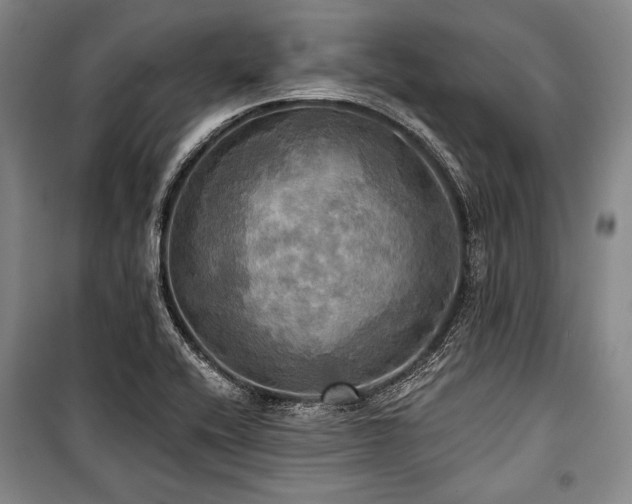 X0000101161416200806270958