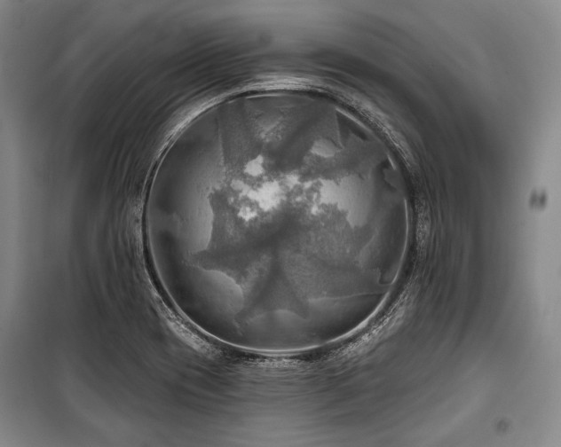 X0000101161417200806270958