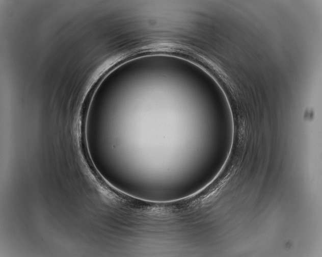 X0000101161418200806270958