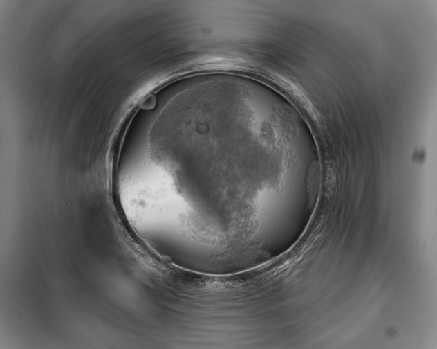 X0000101161419200806270958