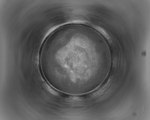 X0000101161420200806270958