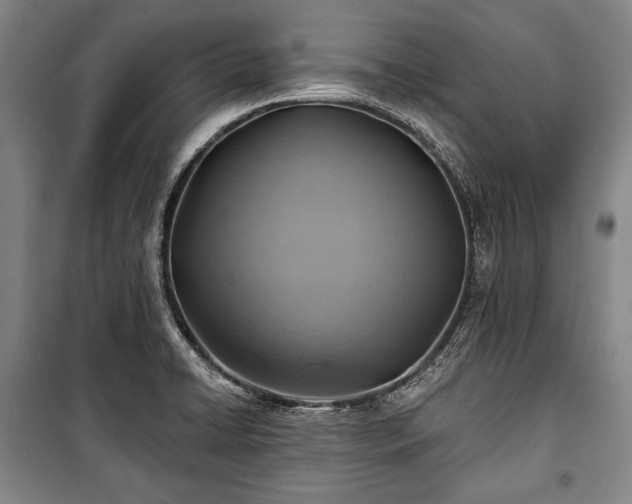 X0000101161422200806270958