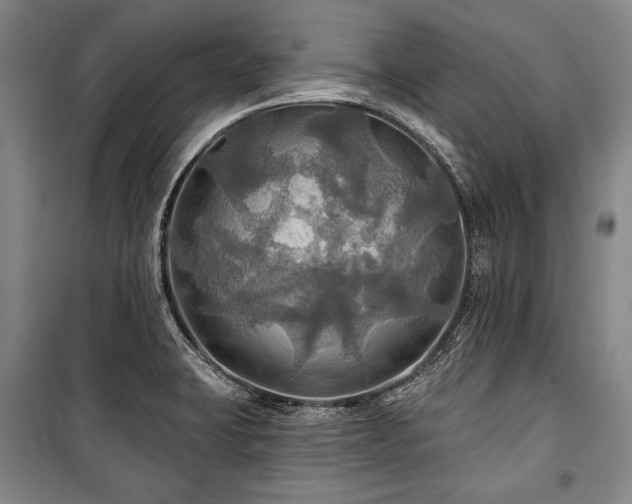 X0000101161423200806270958