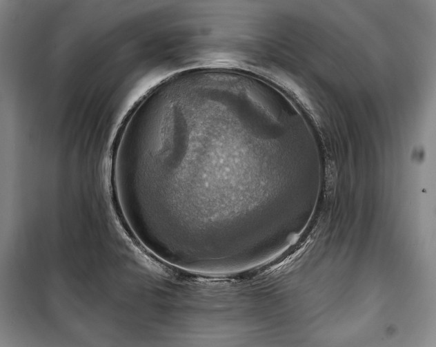 X0000101161424200806270958