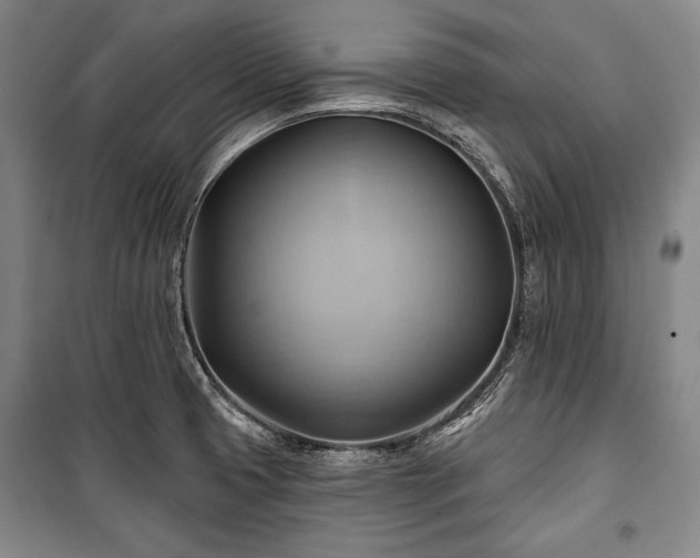 X0000101161425200806270958