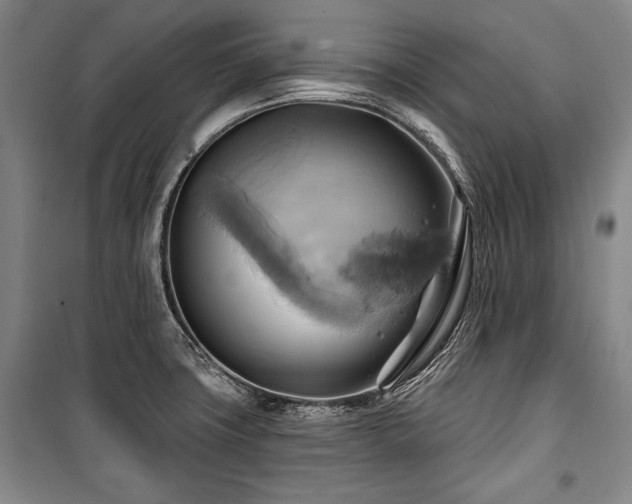 X0000101161427200806270958