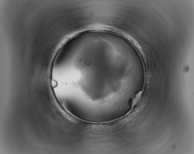 X0000101161429200806270959