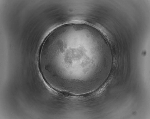 X0000101161430200806270959