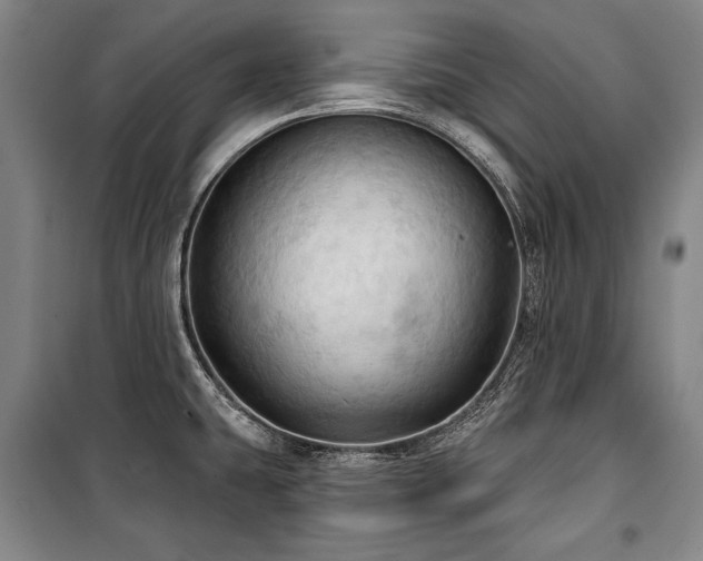 X0000101161431200806270959