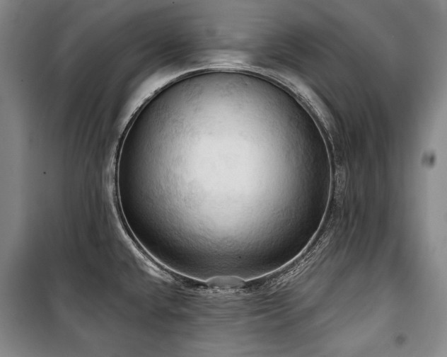 X0000101161432200806270959