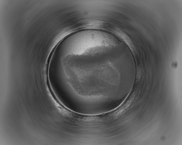 X0000101161434200806270959