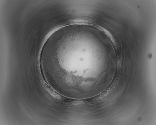 X0000101161435200806270959