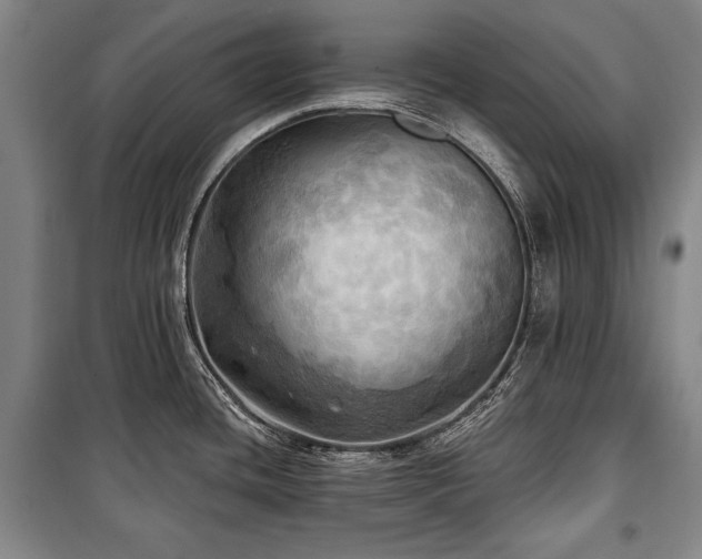 X0000101161436200806270959