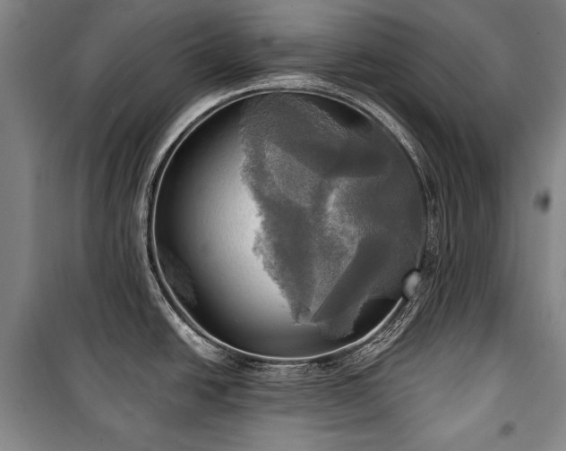 X0000101161438200806270959
