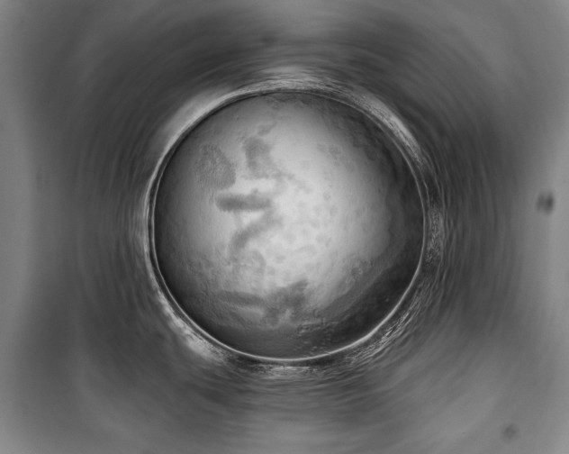 X0000101161439200806270959