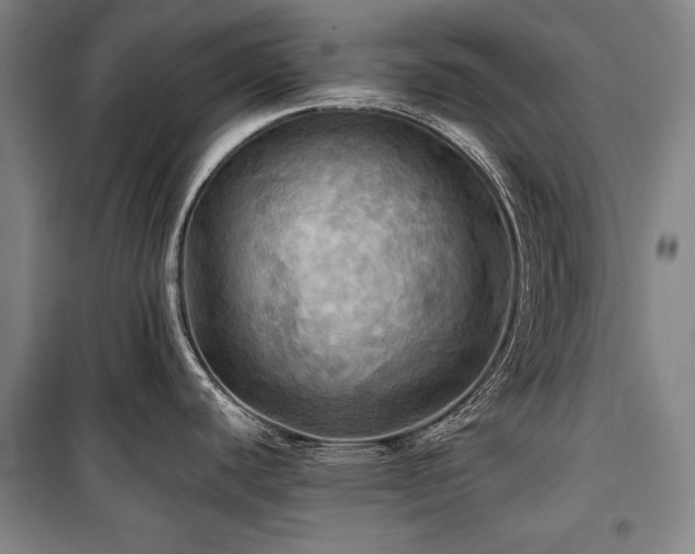 X0000101161440200806270959