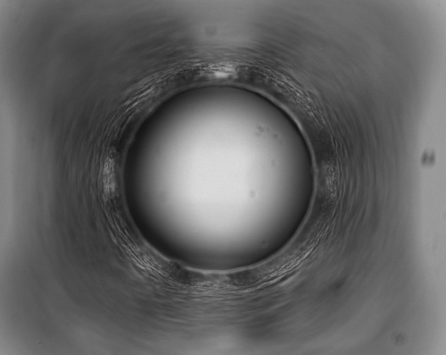 X0000101161442200806270958