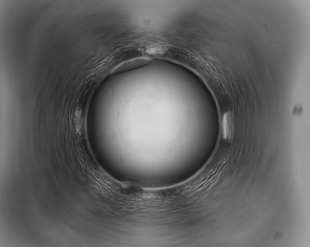 X0000101161443200806270958