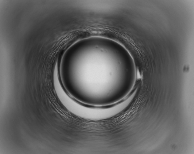 X0000101161444200806270958